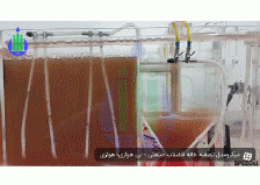 Micro-Model for Industrial Wastewater Treatment Plant